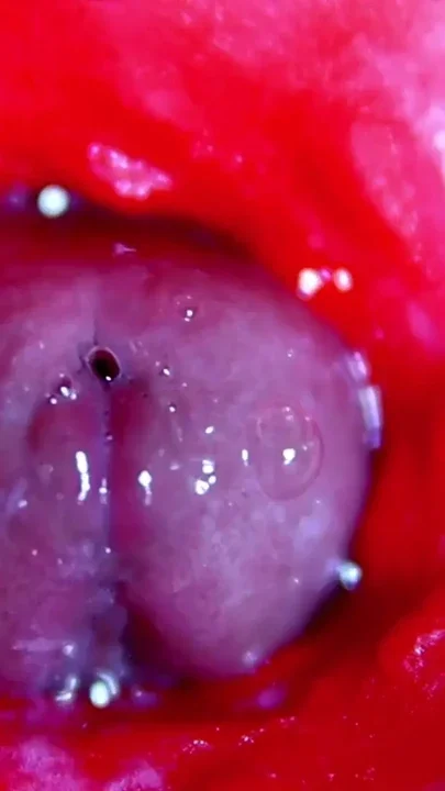 Extreme close-up ASMR head inside wet pussy Clip 1