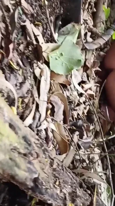 In the open field jungle outdoor the stepbrother's wife took off her clothes and