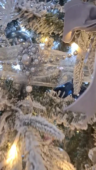 Coffee and showing off my Christmas tree Clip 1
