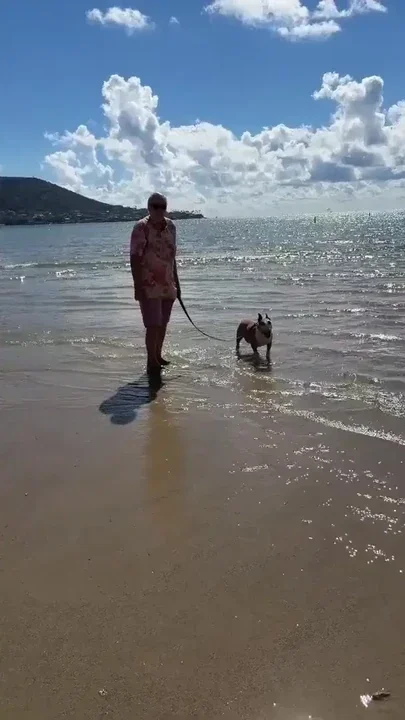 Paiko Fishpond East Oahu Hawaii Clip 2