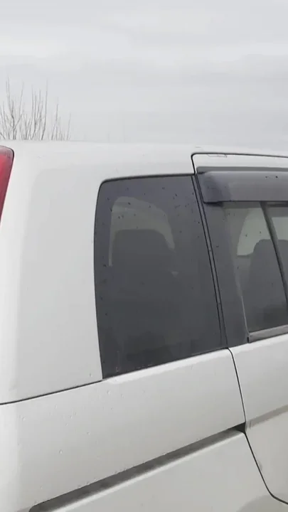 Horny Teen Couple Fucks in the Car