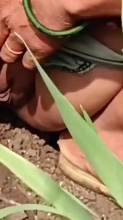 In the outdoor fields my stepsister is fingering her ass in the pussy the cock