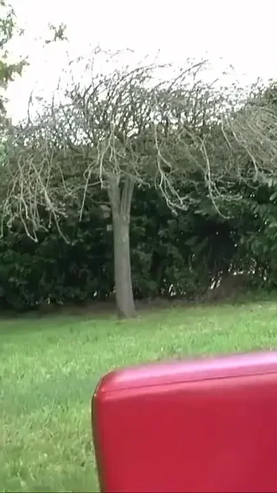 Retired Porn Star Came Back to Get Anal Fucked Outdoor