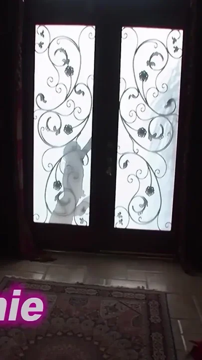 Blowjob