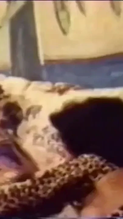 A big black vintage cock for a busty slut