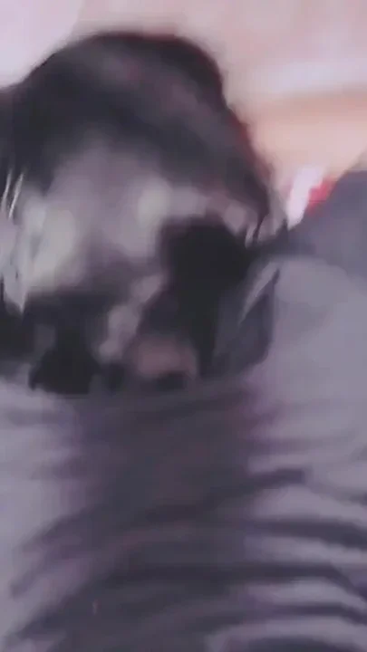 Perfect body asian Pushing the Indonesian hijab girl until it hurts Crot in pussy Clip 1