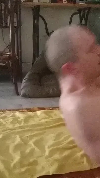 Boy is pissing himself