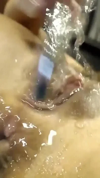 Extra Tiny Mini Stallion Ripped to Shreds by Brickzilla Monstrous BBC