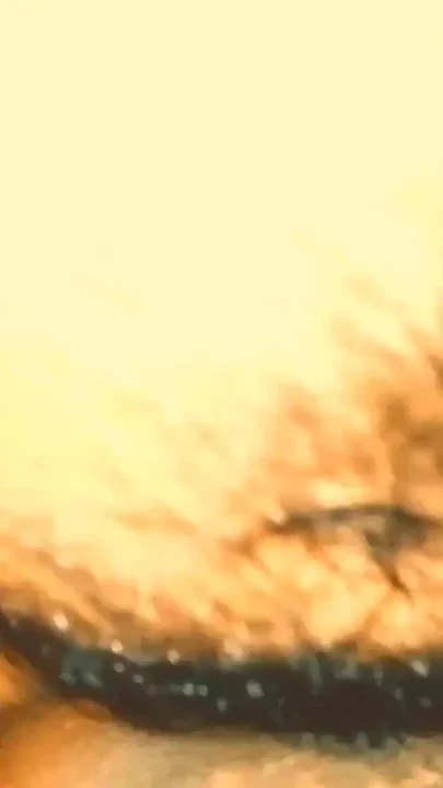 desi College life enjoy together romance beautiful time spend Clip 1
