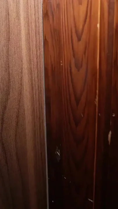 I Fuck My Sister-in-law in the Middle of the Night Without My Stepbrother Noticing