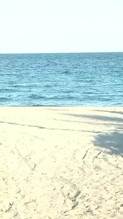 Beach Babe