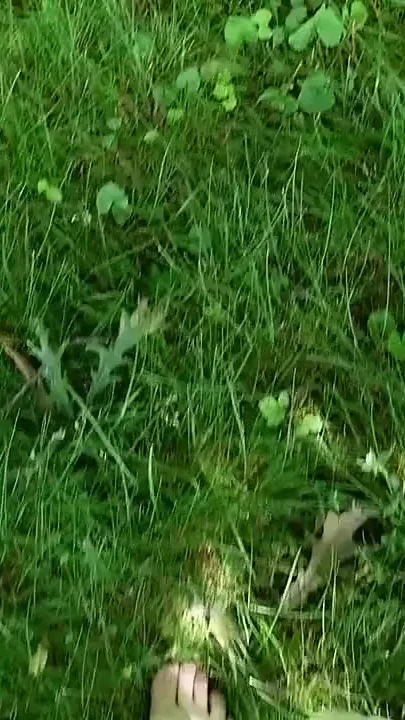 Squirting in a Forest