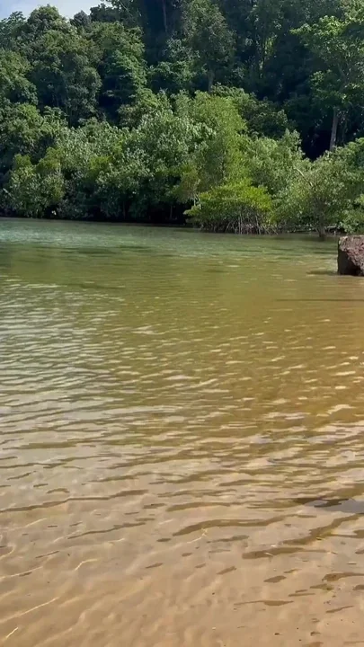Homemade Accidental Sex - Handjob and Cumshot on a Beach