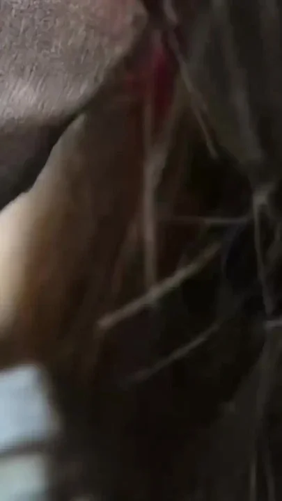 Mera Devar Mere liye laya Chocolate wala Dil aur khoob Choda Mujko Clip 1