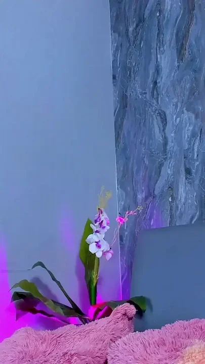 Succubus Style Pussy Blowjob
