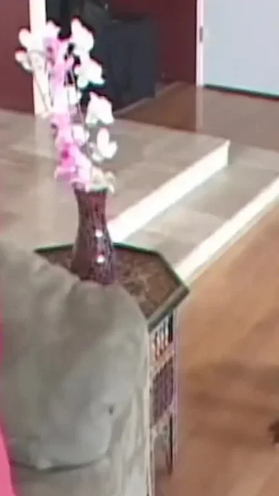 A Skinny Black Girl with a Big Ass Gets Her Pussy Destroyed by a BBC