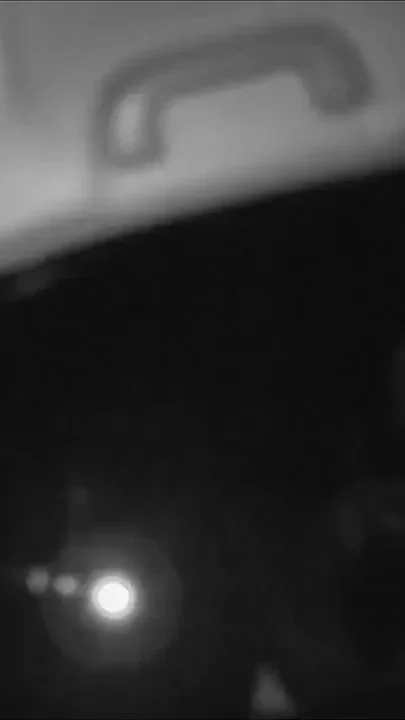 Full vidlady queen is back & 6 months pregnant