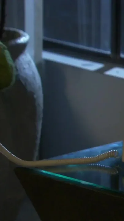 Blonde goddess gets fucked on the kitchen table