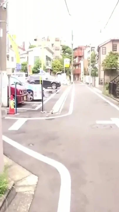Morning Trash Routine - a Familiar Encounter Slowly Turning Into Something