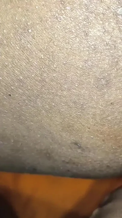 husband wife romantic sex video Clip 2