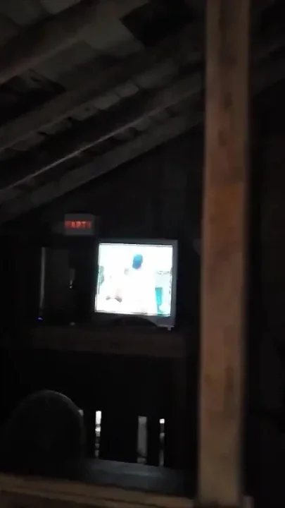 Bear Gets Pissed on by BBC