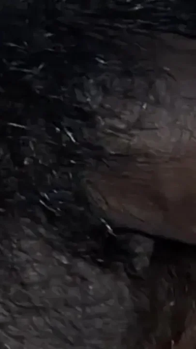 Baba ne ak babu ko hath dekhne ke Kahane chod Clip 1