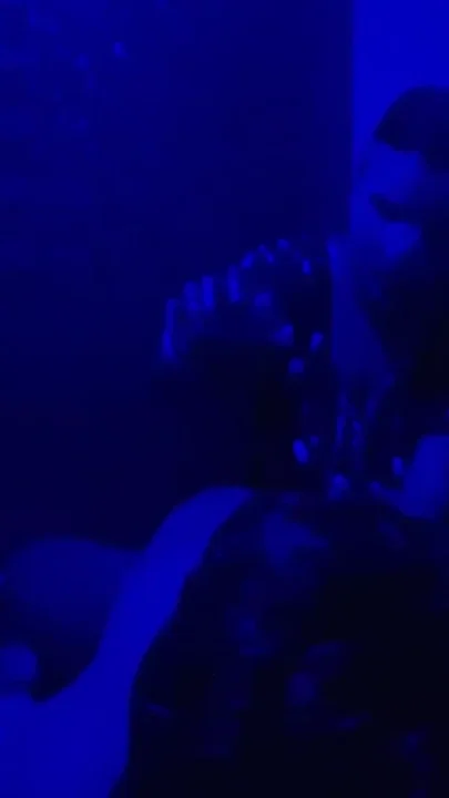 Indian Couple Fucking in Night