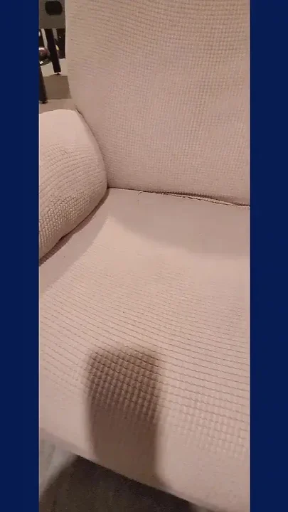 What Do You Think of This Cock