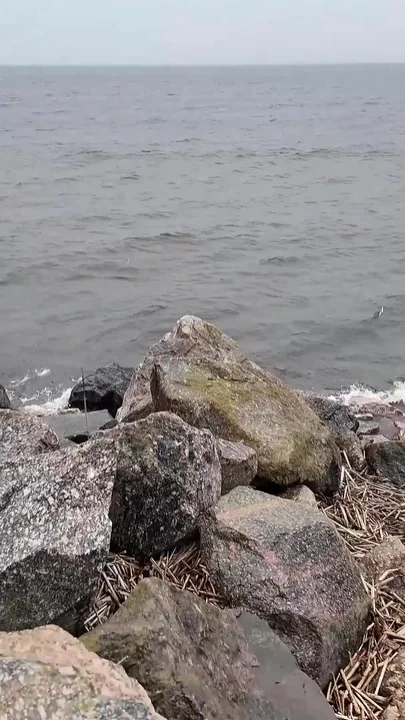 Outdoor Ass Fuck in a Snowstorm