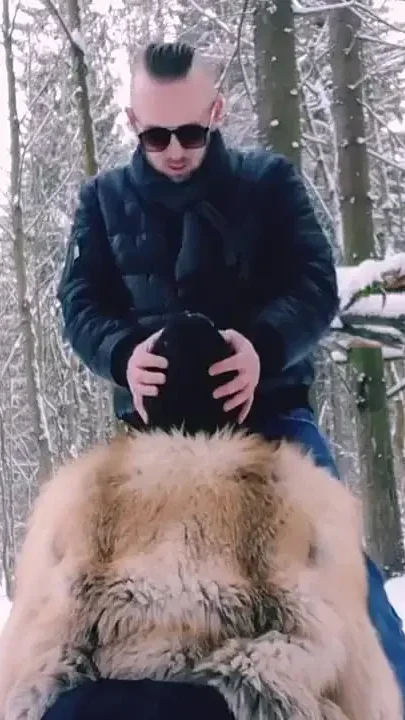 In the Winter Forest