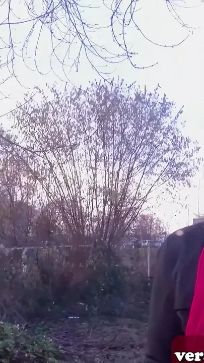 German blonde housewife approached on the street for sex Clip 1