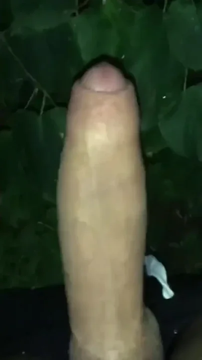 Edging Jerking Edging Jerking Cumshot Outdoor