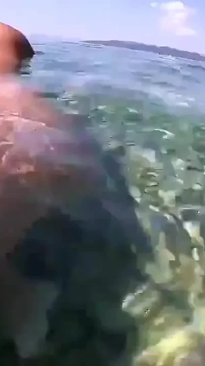 Beach Fun