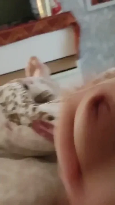 Lying in Bed and Jerking off My Cock Until I Orgasm It's so Nice