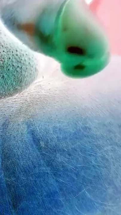 Negative Video of Ass Butt plug on bed Brown ASS Clip 3