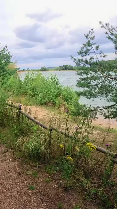 Anal sex by the lake after picking up a girl