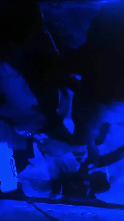 Indian Hot Couple Fuck