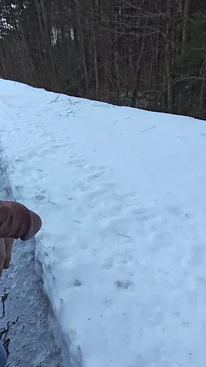 Piss in the snow