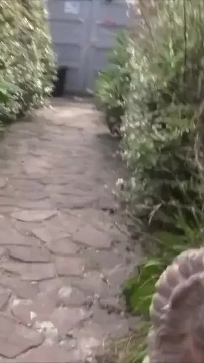 Picwi fucked bareback by amazing XXL black cock