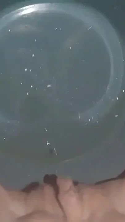 10 times pissing on a laver