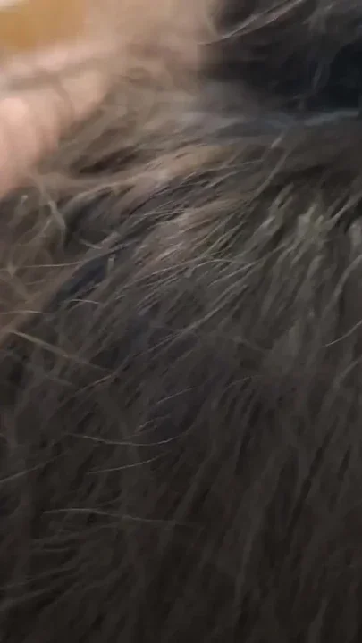 With my neighbor she loves to suck penis she's a whore Clip 1