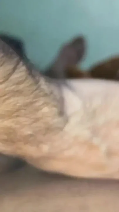 Young indian villager bottom boy fucked by his old black male gay friend Clip 1
