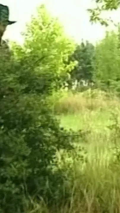 Farmer Looking for a Hole at the Meadow