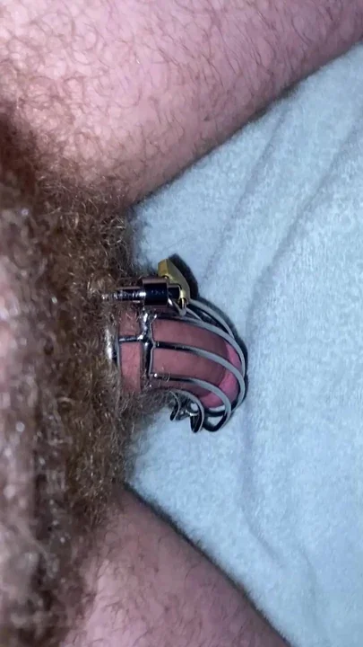 My cock a bound in a cage