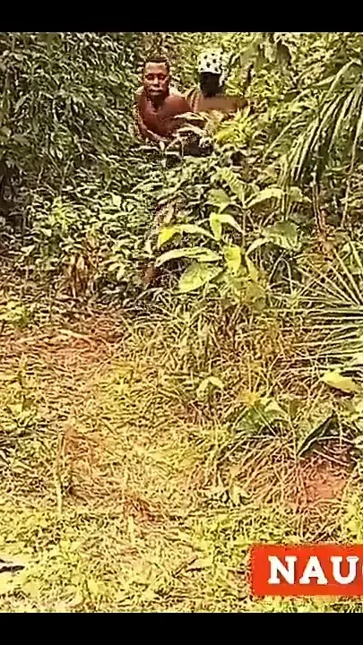 Amateur Horny Wife Fuck a Very Dark Man in the Bush