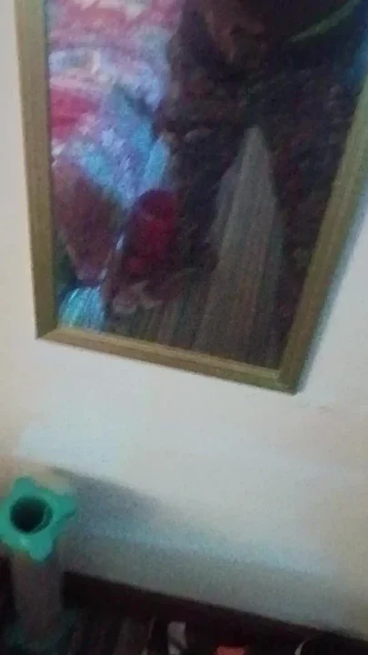 Flash show
