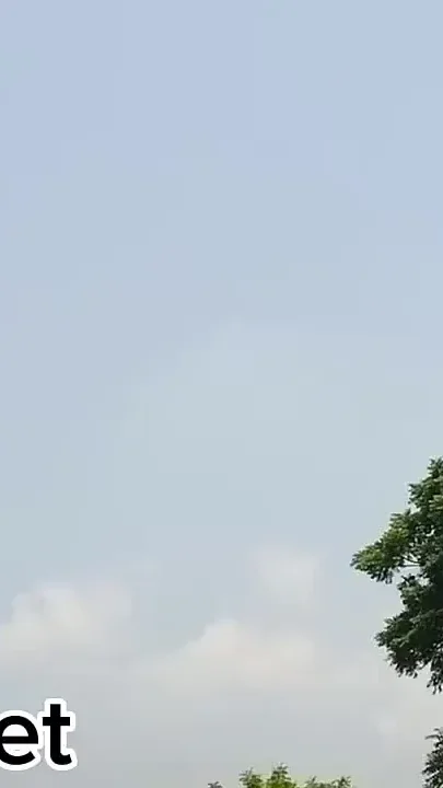 Village Bangers