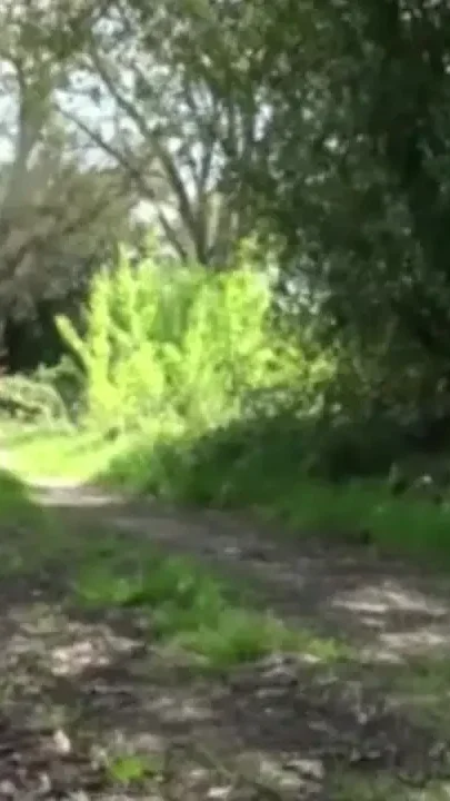 Latino twink fucking gay in exhib outdoor place