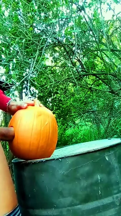 Twink Is Fucking a Pumpkin and Eating Own Creampie in the Garden