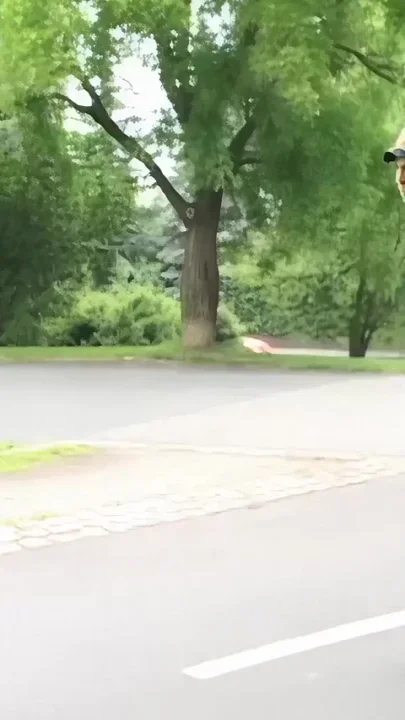 When Two Skaters Feel That Spark
